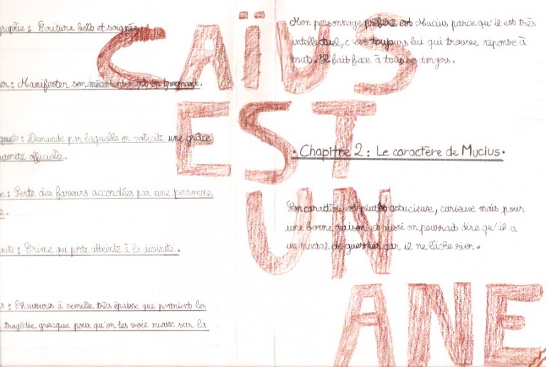 L Affaire Caius Résumé Par Chapitre