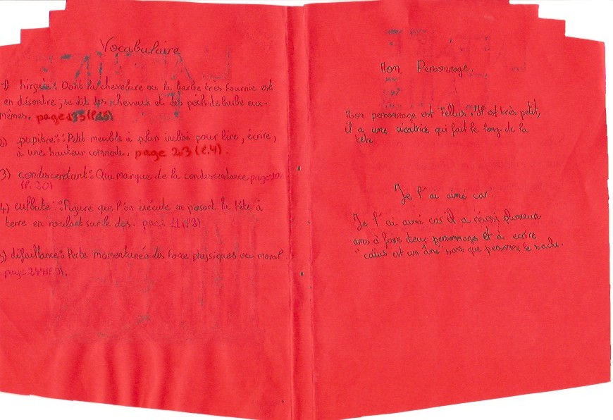 Fiche De Lecture L Affaire Caius 6eme L’Affaire Caïus – Le Français au collège